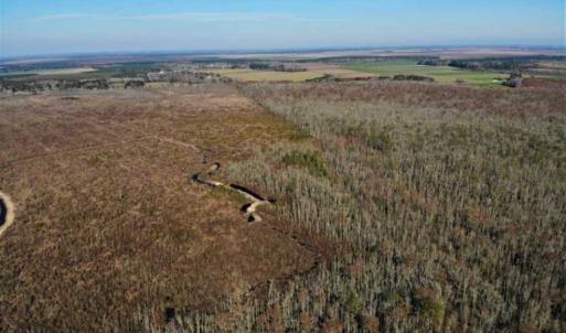 Photo of SOLD!! 142.05 Acres of Hunting Land For Sale in Camden County NC!