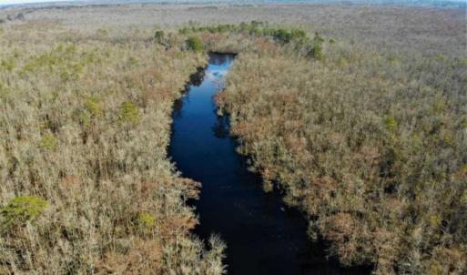 Photo of SOLD!! 142.05 Acres of Hunting Land For Sale in Camden County NC!