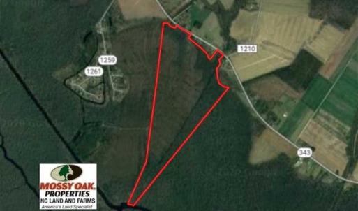 Photo of SOLD!! 142.05 Acres of Hunting Land For Sale in Camden County NC!