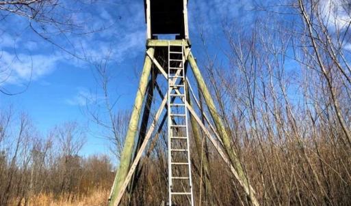 Photo of SOLD!! 142.05 Acres of Hunting Land For Sale in Camden County NC!
