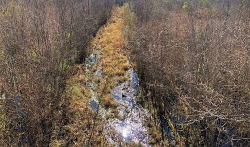 Photo of SOLD!! 142.05 Acres of Hunting Land For Sale in Camden County NC!