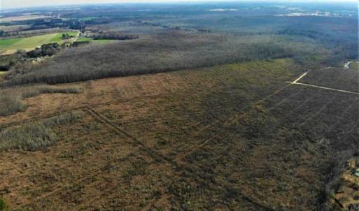 Photo of SOLD!! 142.05 Acres of Hunting Land For Sale in Camden County NC!