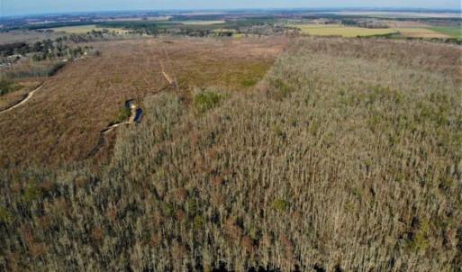Photo of SOLD!! 142.05 Acres of Hunting Land For Sale in Camden County NC!