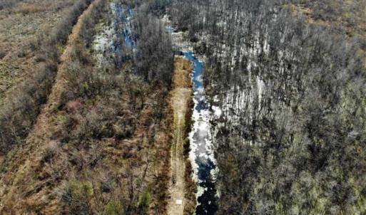 Photo of SOLD!! 142.05 Acres of Hunting Land For Sale in Camden County NC!