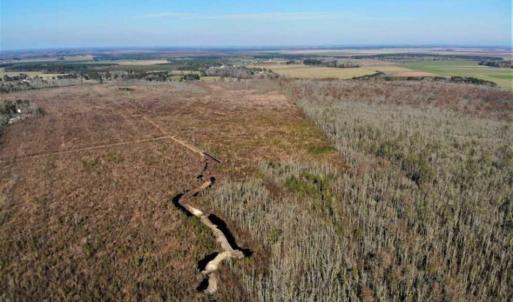 Photo of SOLD!! 142.05 Acres of Hunting Land For Sale in Camden County NC!