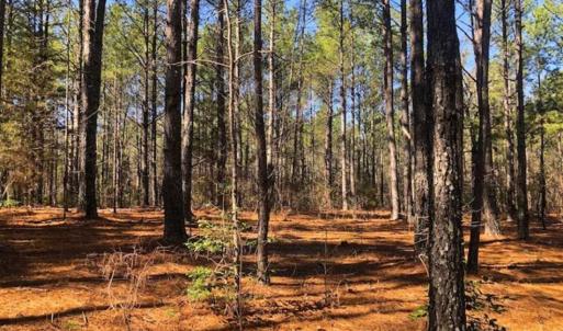 Photo of UNDER CONTRACT!!  10.02 Acres of Residential Land For Sale in Lee County NC!
