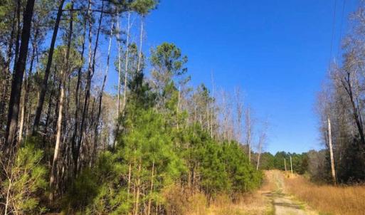 Photo of UNDER CONTRACT!!  10.02 Acres of Residential Land For Sale in Lee County NC!