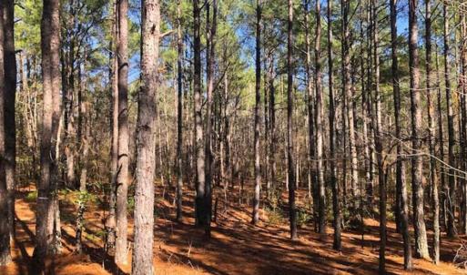 Photo of UNDER CONTRACT!!  10.02 Acres of Residential Land For Sale in Lee County NC!