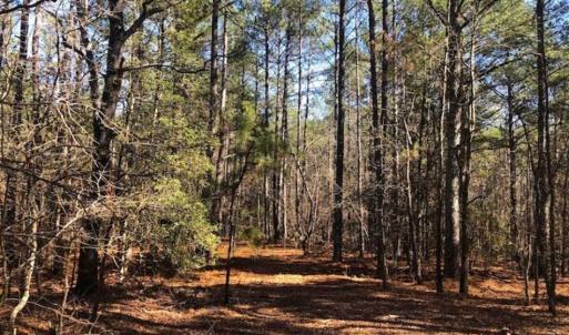Photo of UNDER CONTRACT!!  10.02 Acres of Residential Land For Sale in Lee County NC!