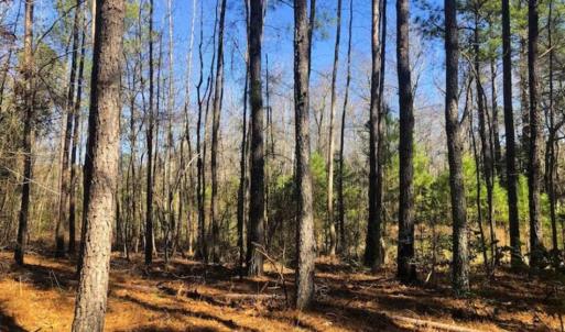 Photo of UNDER CONTRACT!!  10.02 Acres of Residential Land For Sale in Lee County NC!