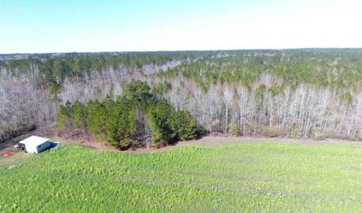 Photo of SOLD!!  45.13 Acres of Timber and Hunting Land For Sale in Columbus County NC!