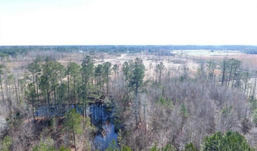 Photo of SOLD!!  45.13 Acres of Timber and Hunting Land For Sale in Columbus County NC!
