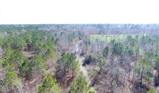 Photo of SOLD!!  45.13 Acres of Timber and Hunting Land For Sale in Columbus County NC!