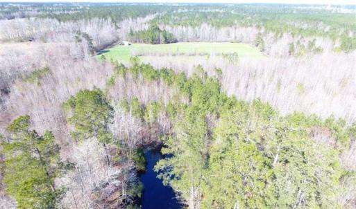 Photo of SOLD!!  45.13 Acres of Timber and Hunting Land For Sale in Columbus County NC!