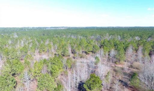 Photo of SOLD!!  45.13 Acres of Timber and Hunting Land For Sale in Columbus County NC!