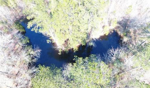 Photo of SOLD!!  45.13 Acres of Timber and Hunting Land For Sale in Columbus County NC!