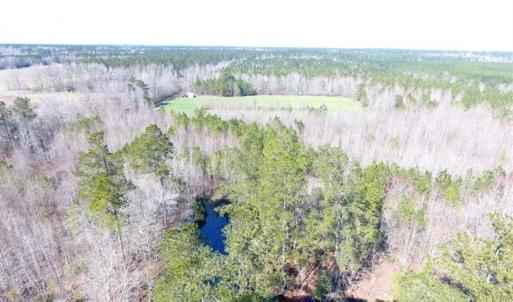 Photo of SOLD!!  45.13 Acres of Timber and Hunting Land For Sale in Columbus County NC!