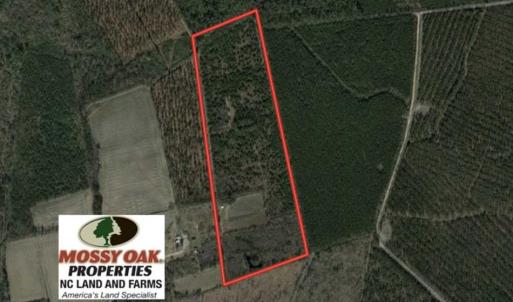 Photo of SOLD!!  45.13 Acres of Timber and Hunting Land For Sale in Columbus County NC!