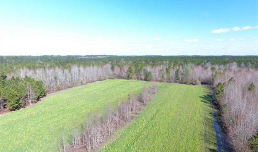 Photo of SOLD!!  45.13 Acres of Timber and Hunting Land For Sale in Columbus County NC!