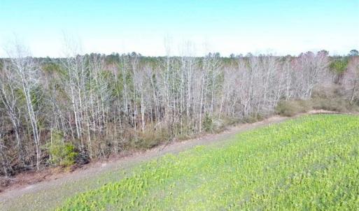 Photo of SOLD!!  45.13 Acres of Timber and Hunting Land For Sale in Columbus County NC!