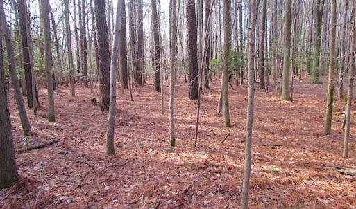 Photo of SOLD!!  0.6 Acre Residential Lot For Sale in Isle of Wight County VA!