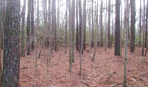 Photo of SOLD!!  0.6 Acre Residential Lot For Sale in Isle of Wight County VA!