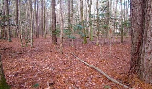Photo of SOLD!!  0.6 Acre Residential Lot For Sale in Isle of Wight County VA!