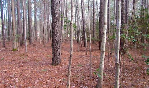 Photo of SOLD!!  0.6 Acre Residential Lot For Sale in Isle of Wight County VA!