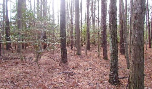 Photo of SOLD!!  0.6 Acre Residential Lot For Sale in Isle of Wight County VA!