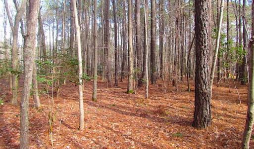 Photo of SOLD!!  0.6 Acre Residential Lot For Sale in Isle of Wight County VA!