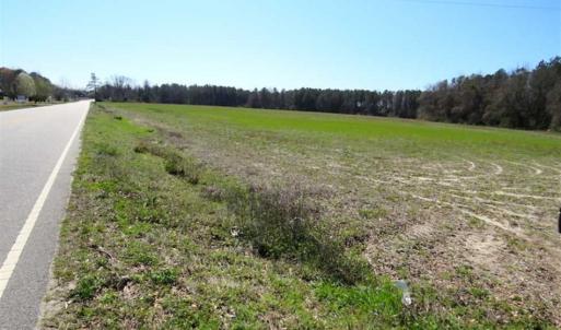 Photo of SOLD!!  67 Acres of Farm and Timber Land For Sale in Robeson County NC!