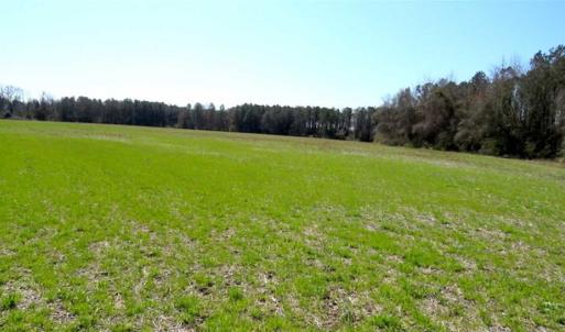 Photo of SOLD!!  67 Acres of Farm and Timber Land For Sale in Robeson County NC!
