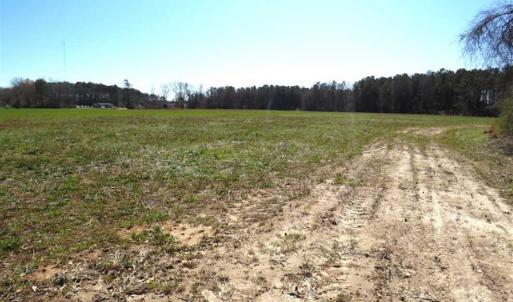 Photo of SOLD!!  67 Acres of Farm and Timber Land For Sale in Robeson County NC!
