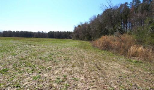 Photo of SOLD!!  67 Acres of Farm and Timber Land For Sale in Robeson County NC!