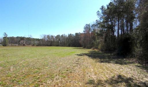 Photo of SOLD!!  67 Acres of Farm and Timber Land For Sale in Robeson County NC!