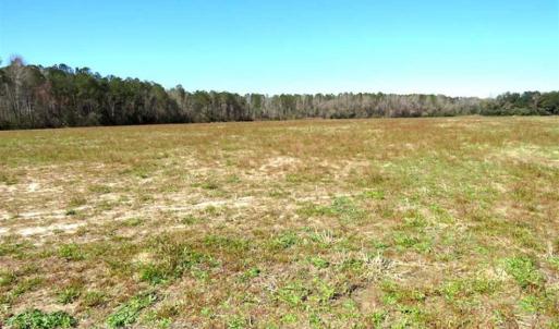 Photo of SOLD!!  67 Acres of Farm and Timber Land For Sale in Robeson County NC!