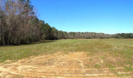 Photo of SOLD!!  67 Acres of Farm and Timber Land For Sale in Robeson County NC!