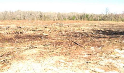 Photo of SOLD!!  44.73 Acres of Hunting and Residential Land For Sale in Columbus County NC!