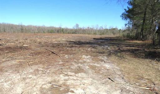 Photo of SOLD!!  44.73 Acres of Hunting and Residential Land For Sale in Columbus County NC!