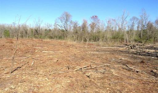 Photo of SOLD!!  44.73 Acres of Hunting and Residential Land For Sale in Columbus County NC!