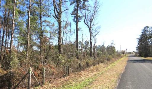 Photo of SOLD!!  44.73 Acres of Hunting and Residential Land For Sale in Columbus County NC!