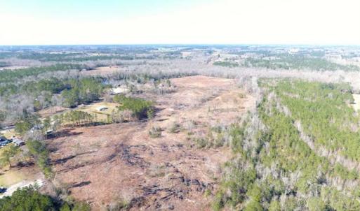 Photo of SOLD!!  44.73 Acres of Hunting and Residential Land For Sale in Columbus County NC!