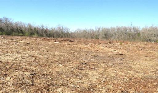 Photo of SOLD!!  44.73 Acres of Hunting and Residential Land For Sale in Columbus County NC!