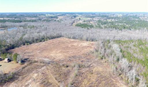 Photo of SOLD!!  44.73 Acres of Hunting and Residential Land For Sale in Columbus County NC!