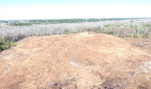 Photo of SOLD!!  44.73 Acres of Hunting and Residential Land For Sale in Columbus County NC!
