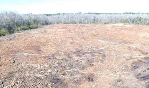 Photo of SOLD!!  44.73 Acres of Hunting and Residential Land For Sale in Columbus County NC!