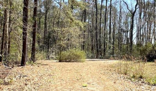Photo of REDUCED!  +/- 2.30 Acres of Residential Land For Sale in Columbus County NC!