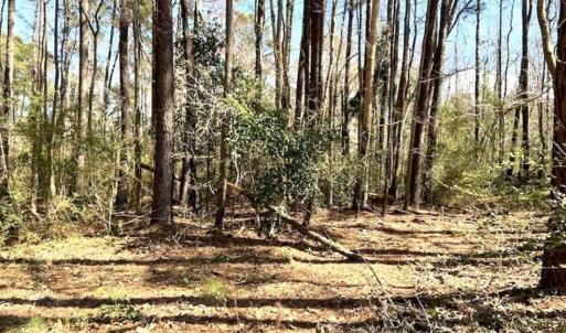Photo of REDUCED!  +/- 2.30 Acres of Residential Land For Sale in Columbus County NC!