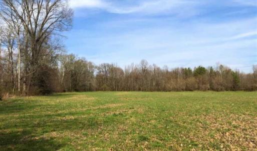 Photo of SOLD!!  30.39 Acres of Residential and Hunting Land with Home in Mecklenburg County VA!