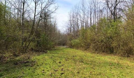 Photo of SOLD!!  30.39 Acres of Residential and Hunting Land with Home in Mecklenburg County VA!